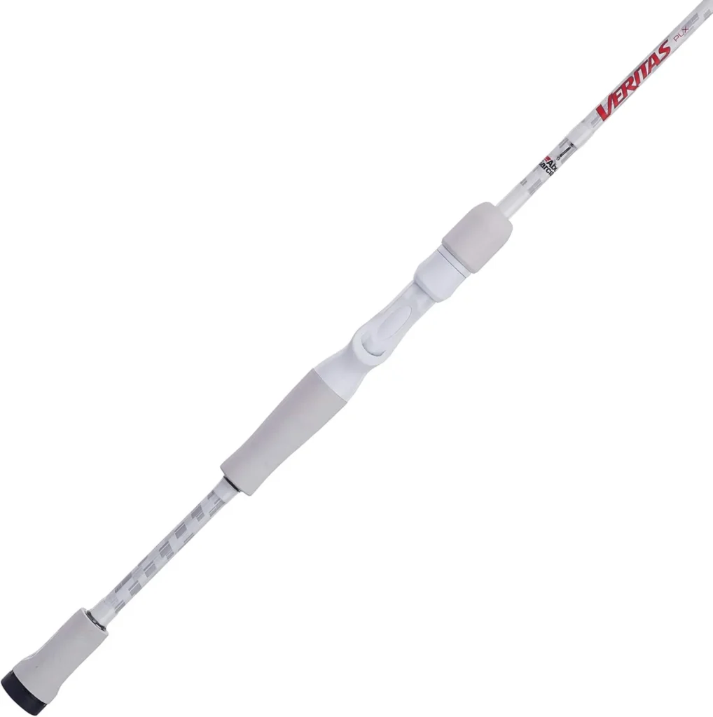 Best 5 fishing rods under $100 15 abu garcia veritas